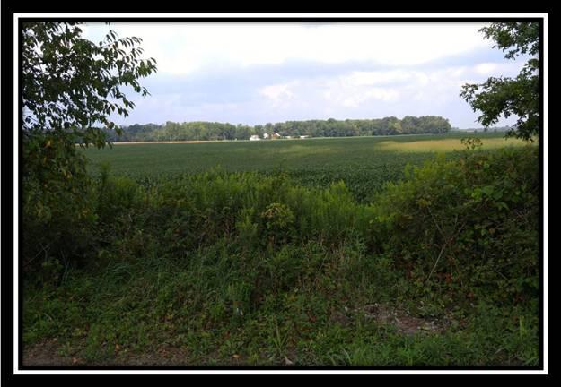 0 Denzer Road Waldo, OH 43356 - Photo 2 of 9 Gallery Image 2