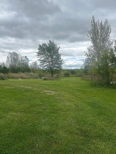 7685 Card Road Goodells, MI 48027 - Photo 5 of 14