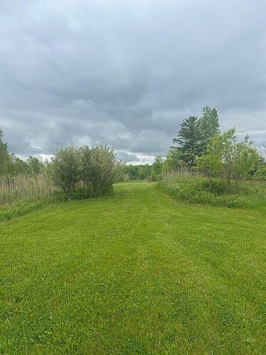 7685 Card Road Goodells, MI 48027 - Photo 7 of 14