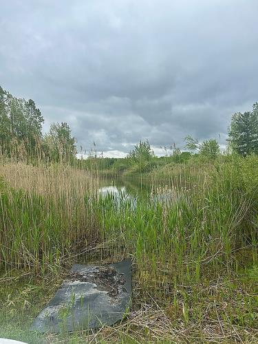 7685 Card Road Goodells, MI 48027 - Photo 10 of 14