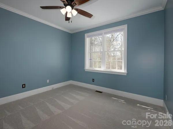 a view of a park with large trees