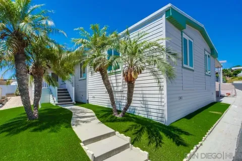 a view of a backyard with plants and a large tree