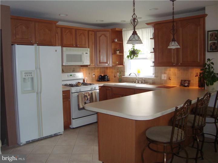 3828 Andrea Road Philadelphia, PA 19154 - Photo 5 of 17 Kitchen