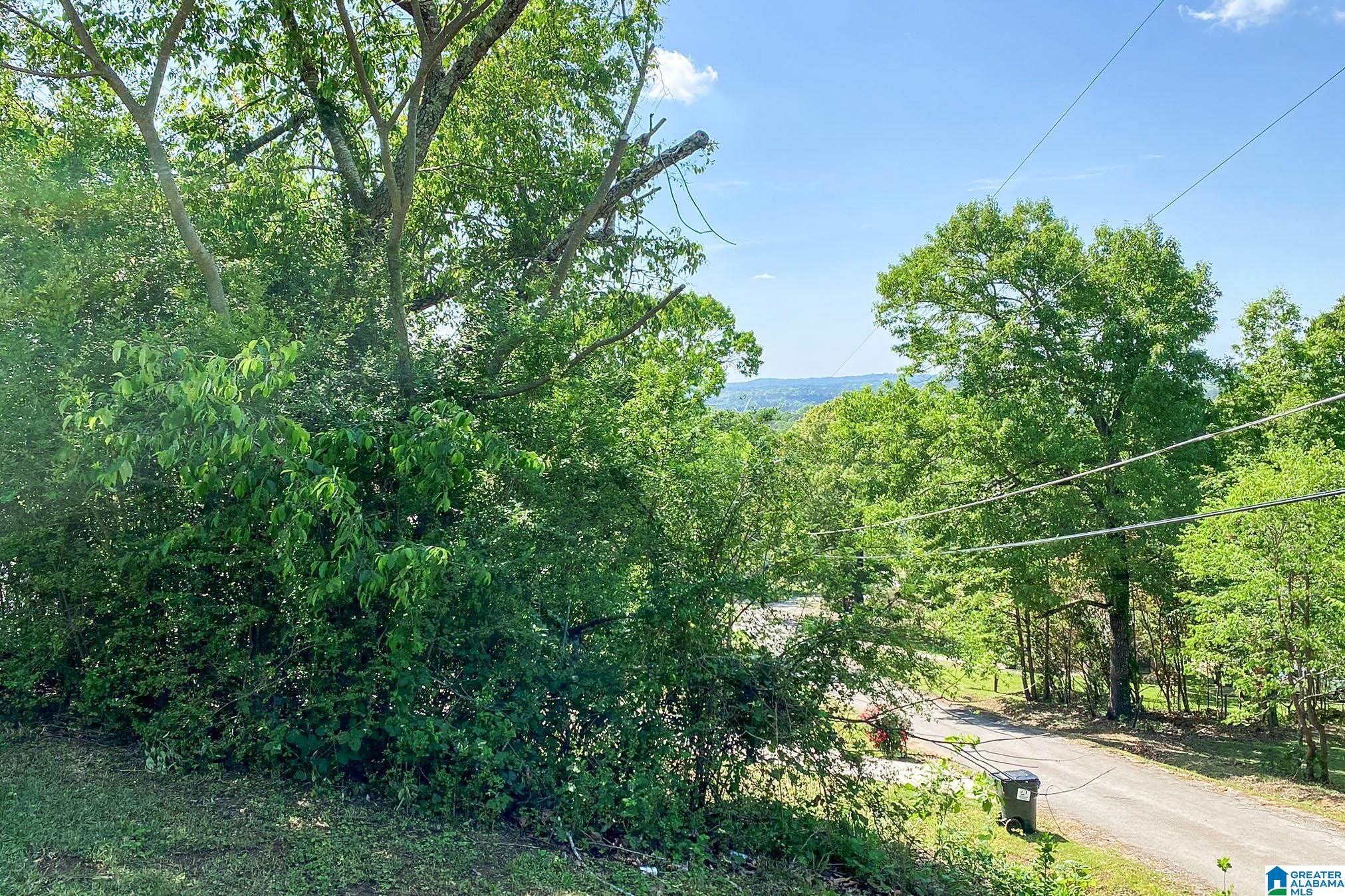 5000 Harrison Street Anniston, AL 36201 - Photo 25 of 46