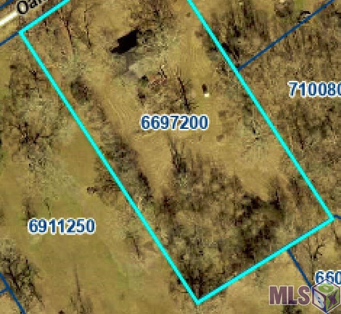 41231 Oak Harbor Road Prairieville, LA 70769 - Photo 1 of 5 Gallery Image 1