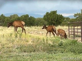 1035 Newton Road Pueblo, CO 81005 - Photo 10 of 29