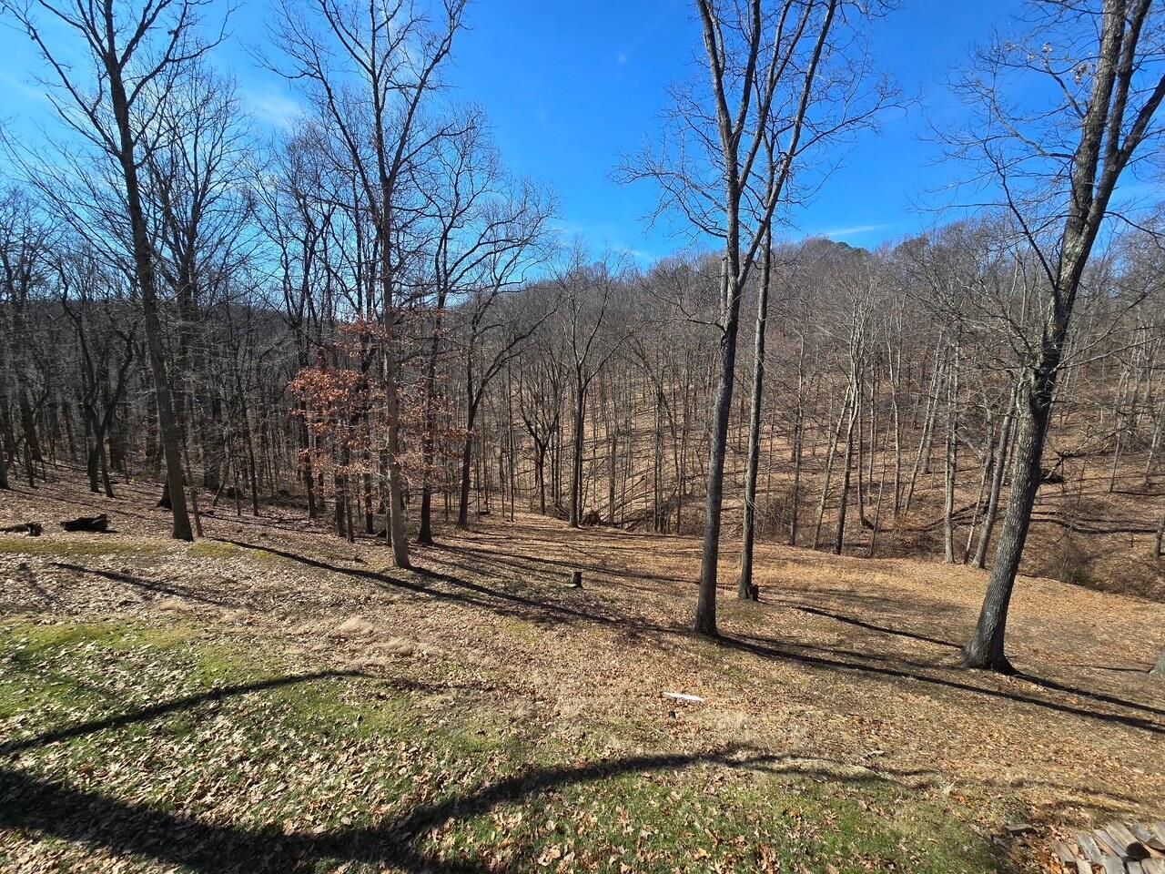 16621 Pleasant Ridge Road Laurelville, OH 43135 - Photo 23 of 24 Ray Stone 5