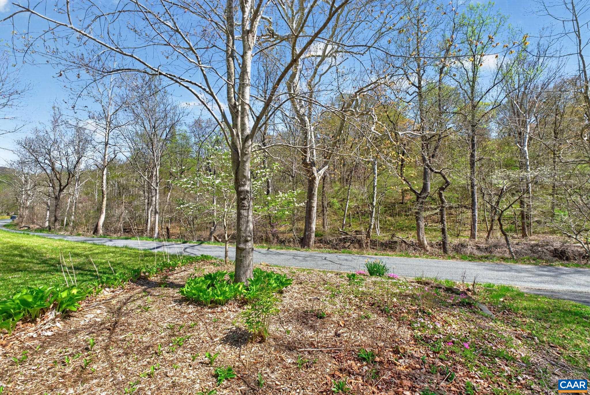 689 Mutton Hollow Road Stanardsville, VA 22973 - Photo 26 of 61