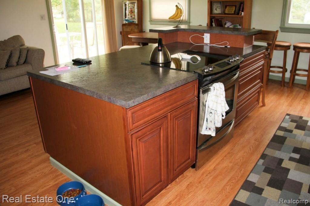 893 Willard Avenue Rochester, MI 48307 - Photo 43 of 44 LizInDetroit_893Willard-43.jpg