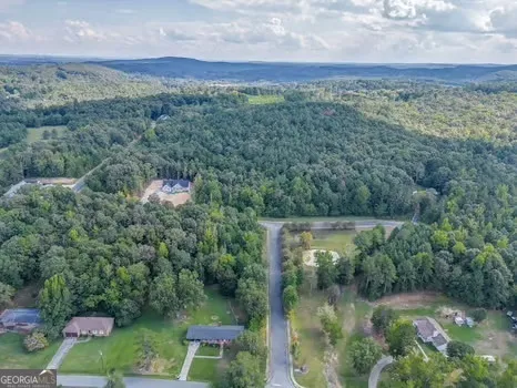 an aerial view of residential houses with outdoor space and trees