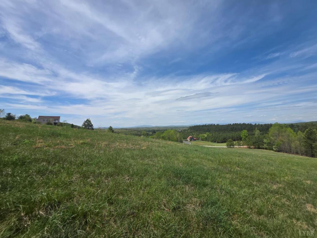 Gardner Farm Road Appomattox, VA 24522 - Photo 2 of 10 Gallery Image 2