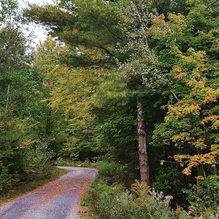 215 Bog Road Fletcher, VT 05444 - Photo 8 of 23