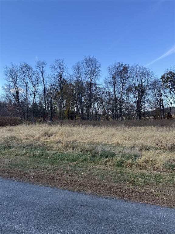 0 Meadow View Lane Northfield, MA 01360 - Photo 3 of 6 a view of a yard with a tree
