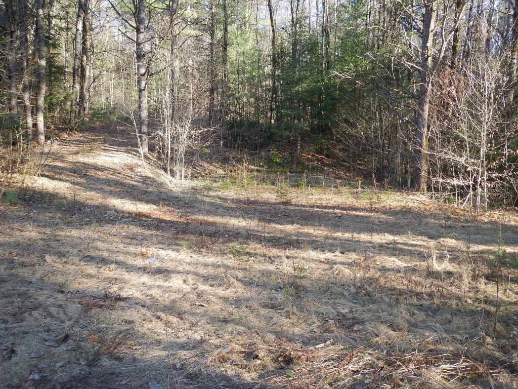 225 Streeter Pond Road Lisbon, NH 03585 - Photo 3 of 7 Gallery Image 3