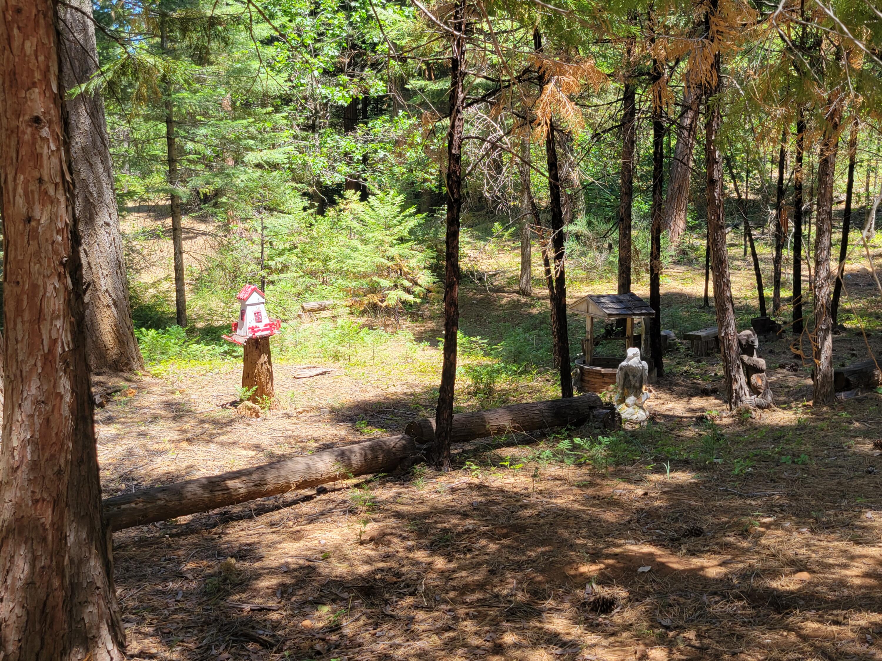 30592 Shingletown Ridge Road Shingletown, CA 96088 - Photo 8 of 20 20220714_131205