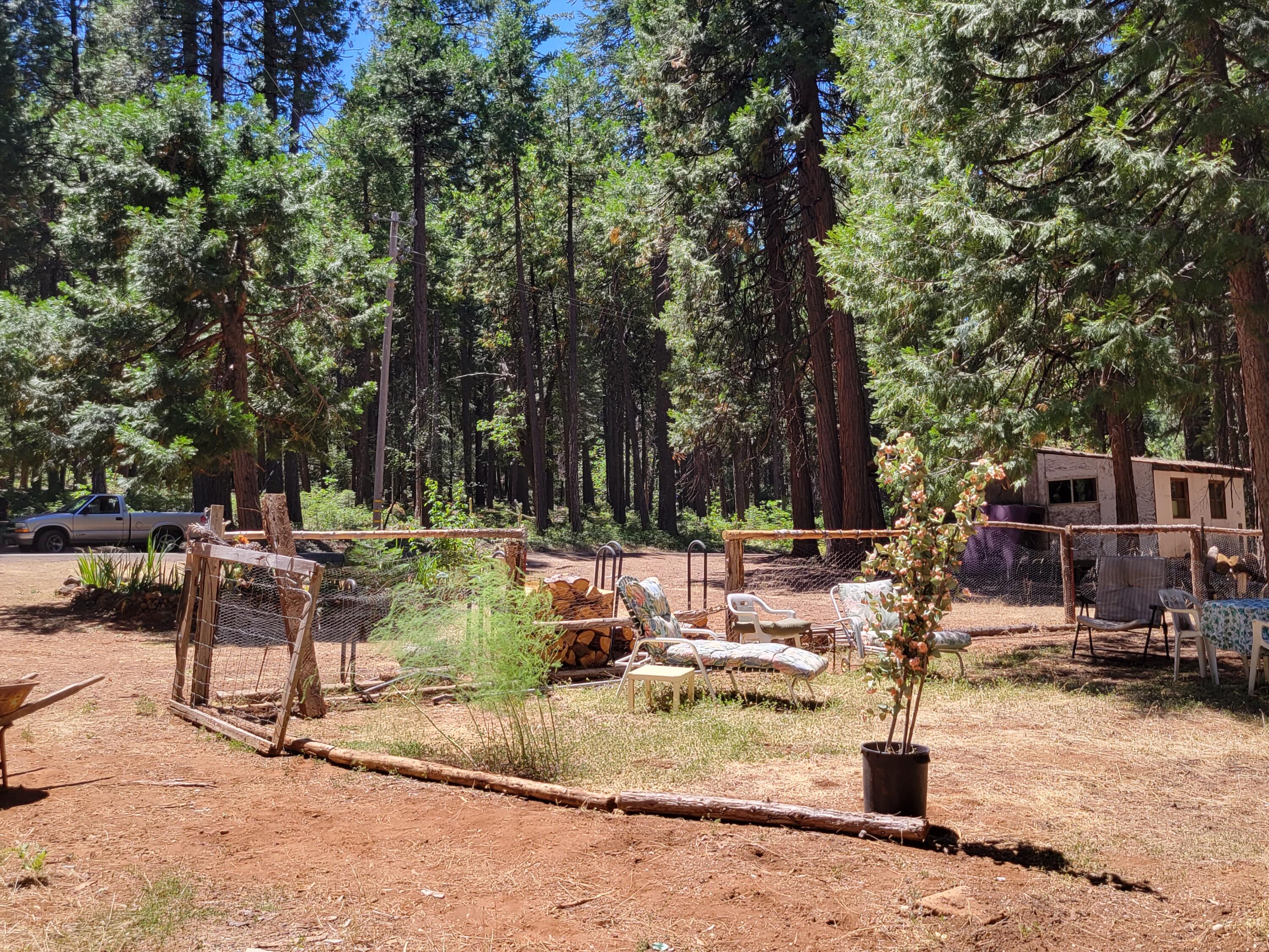 30592 Shingletown Ridge Road Shingletown, CA 96088 - Photo 10 of 20 20220714_131250