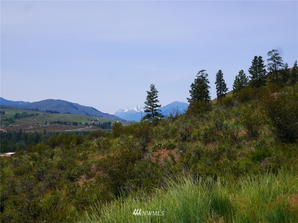 5 Homestead Hills Road Twisp, WA 98856 - Photo 12 of 23 Gallery Image 12
