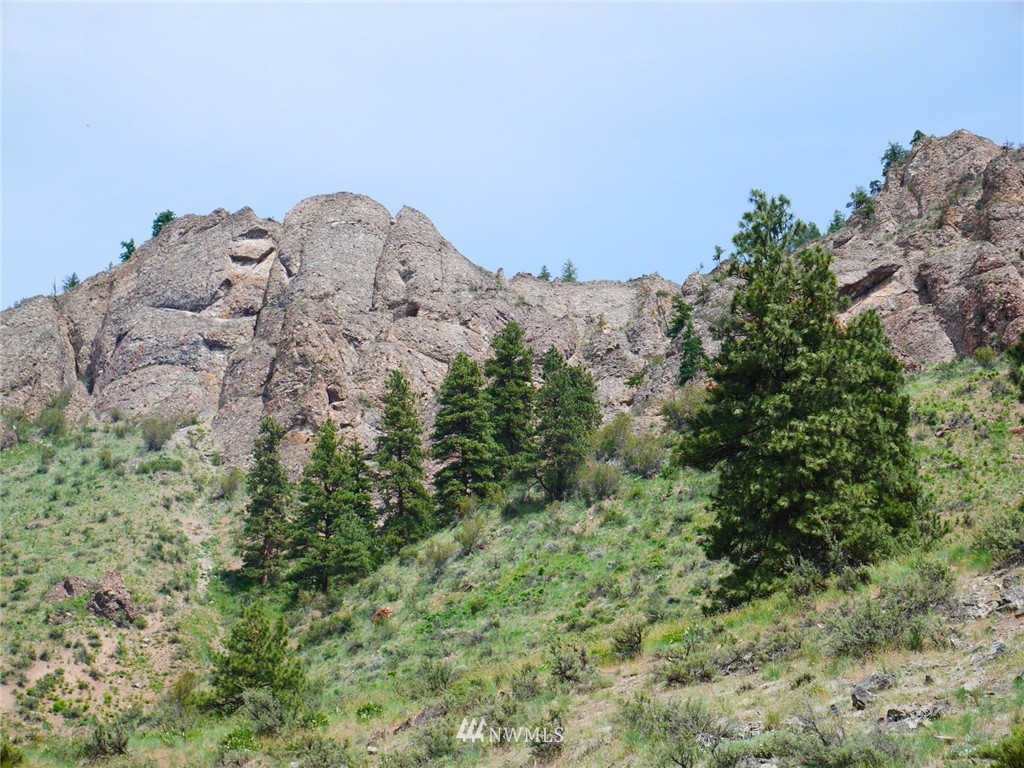 5 Homestead Hills Road Twisp, WA 98856 - Photo 16 of 23 Gallery Image 16