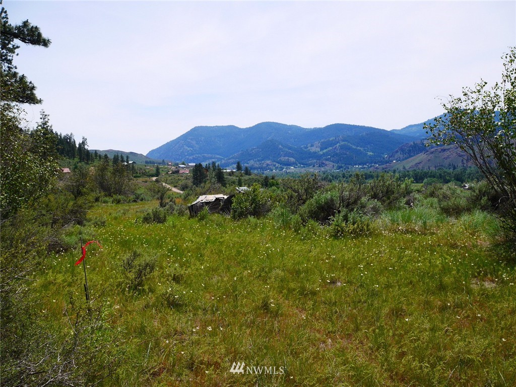 5 Homestead Hills Road Twisp, WA 98856 - Photo 18 of 23 Gallery Image 18