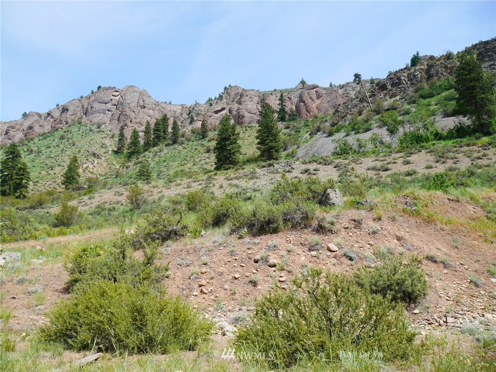 5 Homestead Hills Road Twisp, WA 98856 - Photo 10 of 23 Gallery Image 10