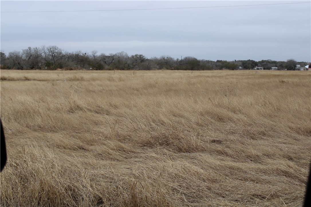 Undisclosed Address Mathis, TX 78368 - Photo 5 of 5 Gallery Image 5