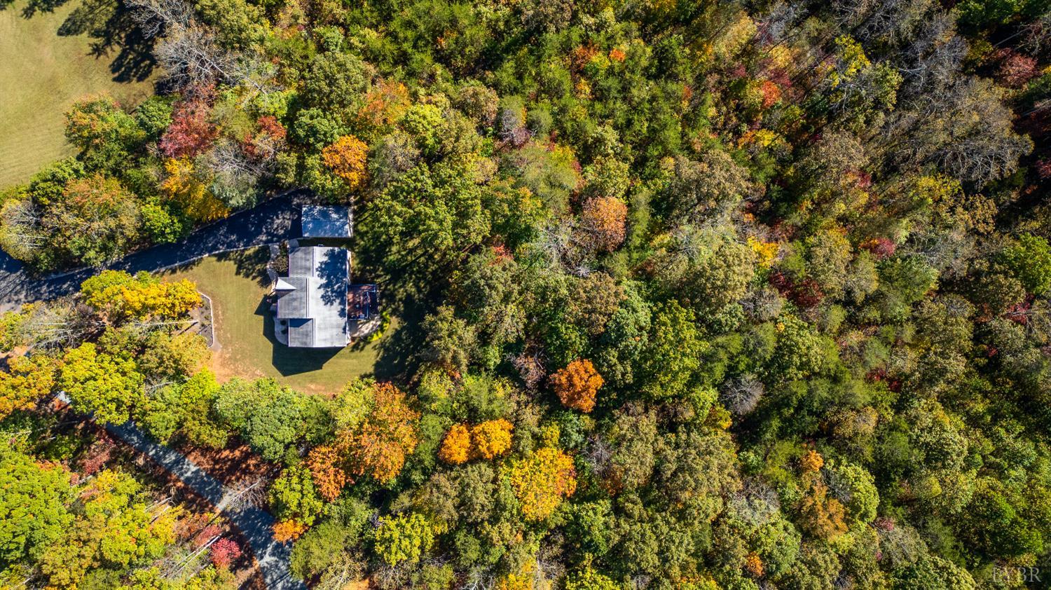 405 Marston Street Spout Spring, VA 24593 - Photo 51 of 58 a view of a tree with a yard