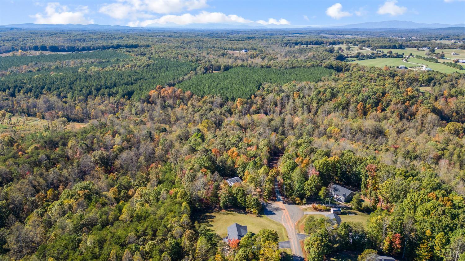 405 Marston Street Spout Spring, VA 24593 - Photo 56 of 58 a view of a city with lots of trees