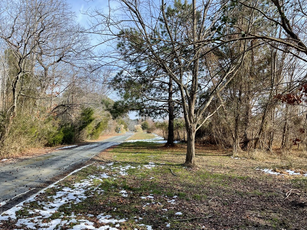3.65 Old Neck Road, Unit 1 Weems, VA 22576 - Photo 8 of 35