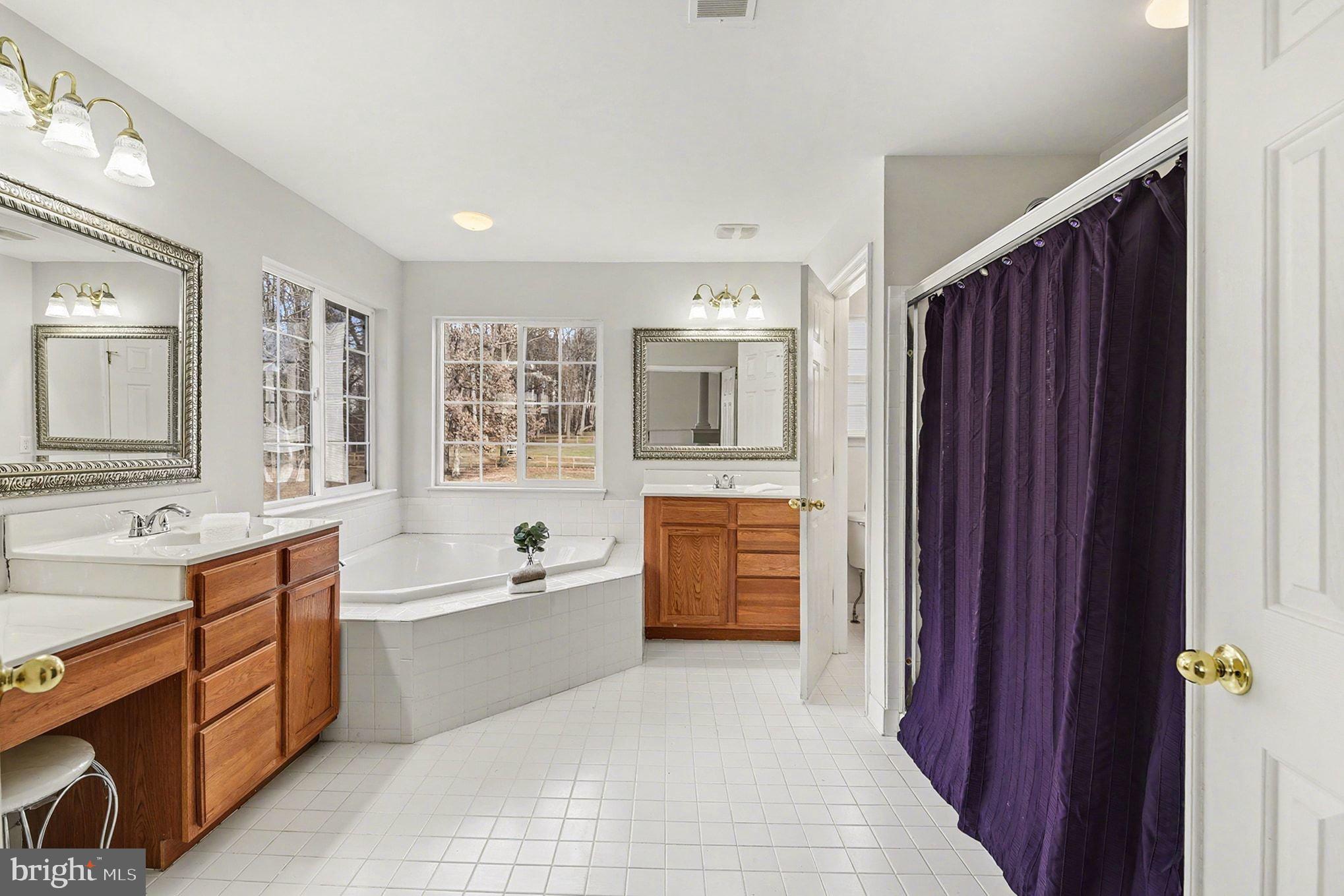 271 Arthur Avenue Port Deposit, MD 21904 - Photo 31 of 51 Spacious primary bath.