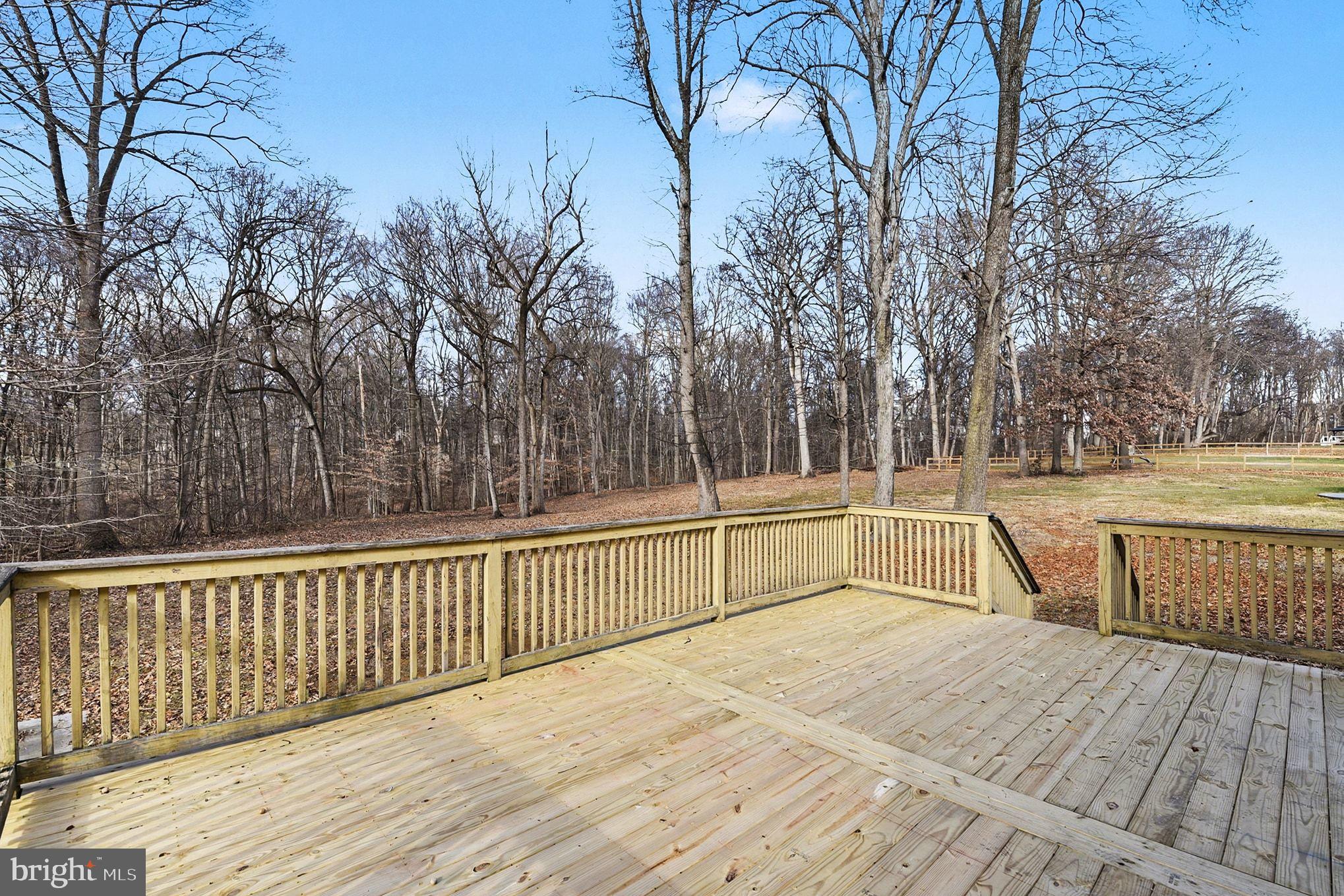 271 Arthur Avenue Port Deposit, MD 21904 - Photo 46 of 51 Newly resurfaced deck.