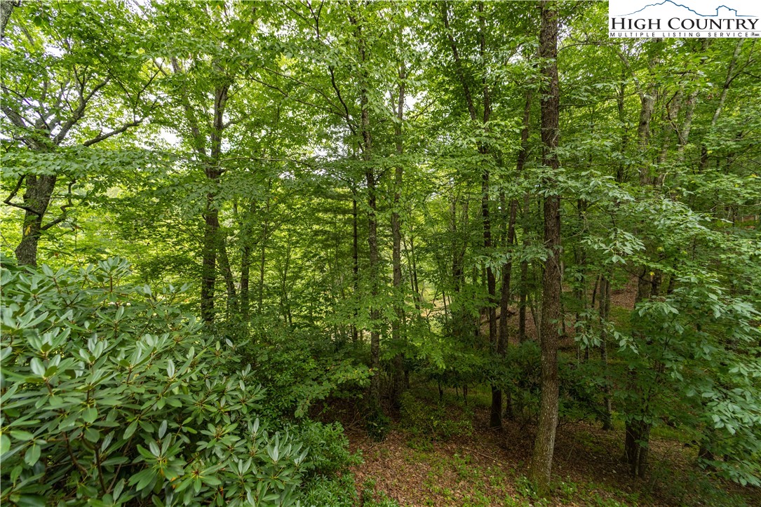 1097 Rivers Edge Road Sparta, NC 28675 - Photo 38 of 43 Gallery Image 38