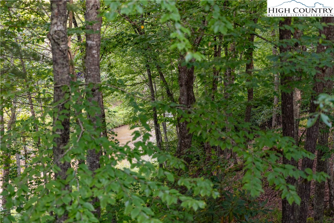 1097 Rivers Edge Road Sparta, NC 28675 - Photo 40 of 43 Gallery Image 40