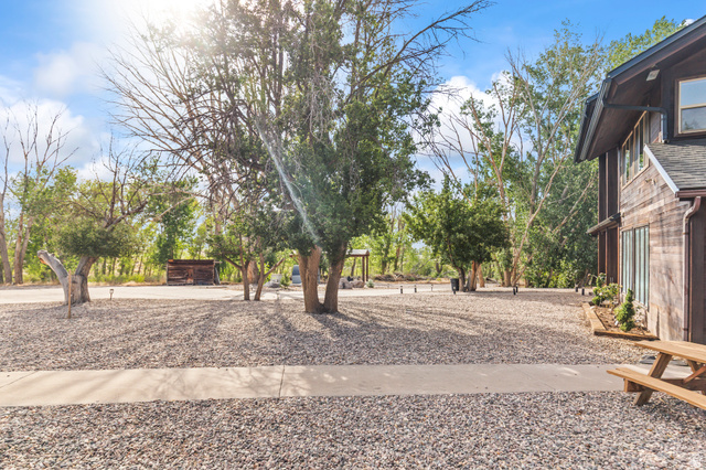460 Omni Point Road Central Valley, UT 84754 - Photo 76 of 101 Expansive gravel driveway with a concrete walkway, bordered by mature trees and a wood-sided structure