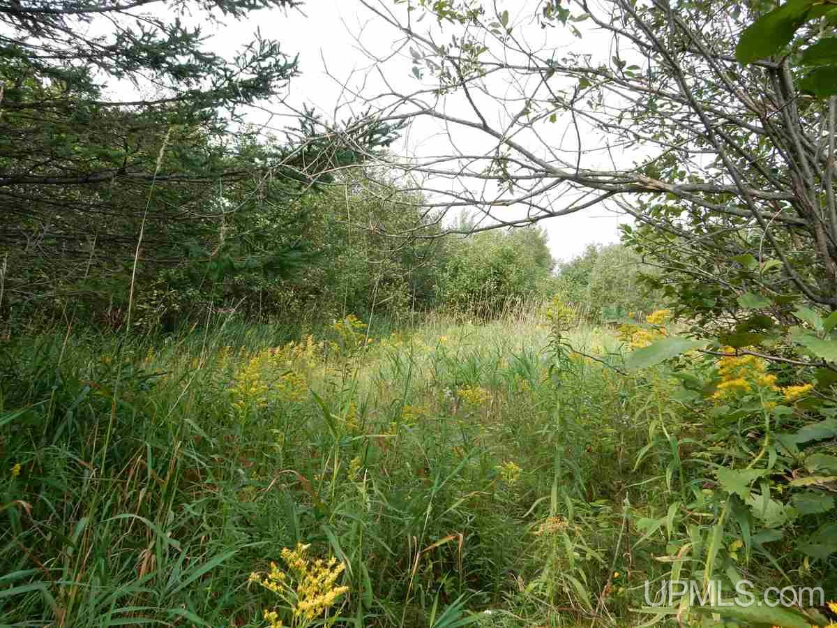 905 North Murphy Road Manistique, MI 49854 - Photo 1 of 7