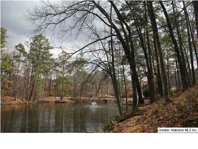 777 Carl Raines Lake Road Birmingham, AL 35244 - Photo 11 of 32