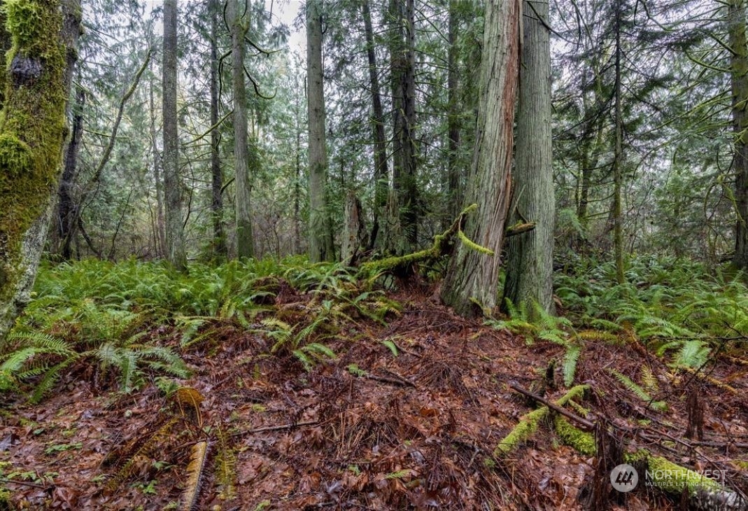 4 Sandy Hook Road Northeast Poulsbo, WA 98370 - Photo 1 of 11 Gallery Image 1