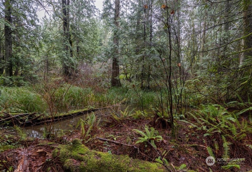 4 Sandy Hook Road Northeast Poulsbo, WA 98370 - Photo 5 of 11 Gallery Image 5