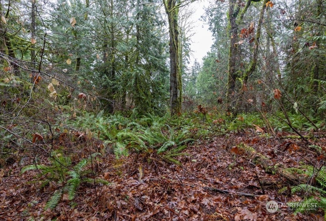 4 Sandy Hook Road Northeast Poulsbo, WA 98370 - Photo 7 of 11 Gallery Image 7
