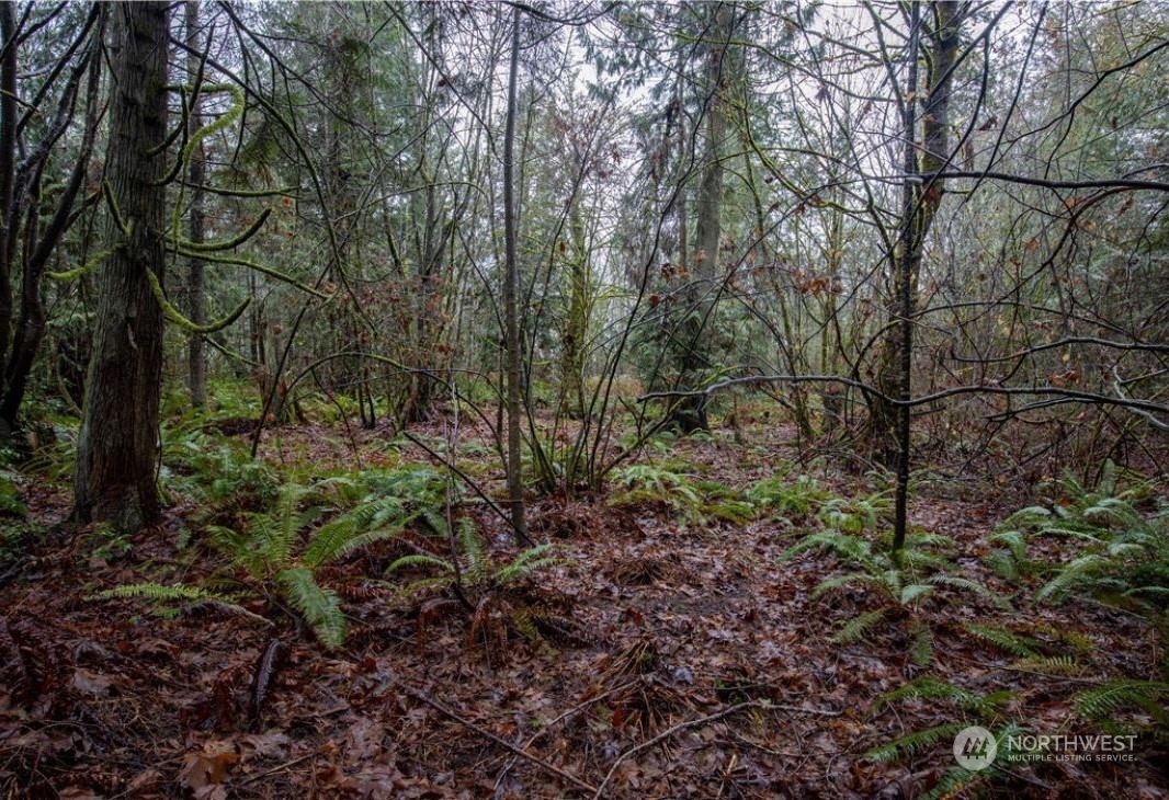 4 Sandy Hook Road Northeast Poulsbo, WA 98370 - Photo 8 of 11 Gallery Image 8