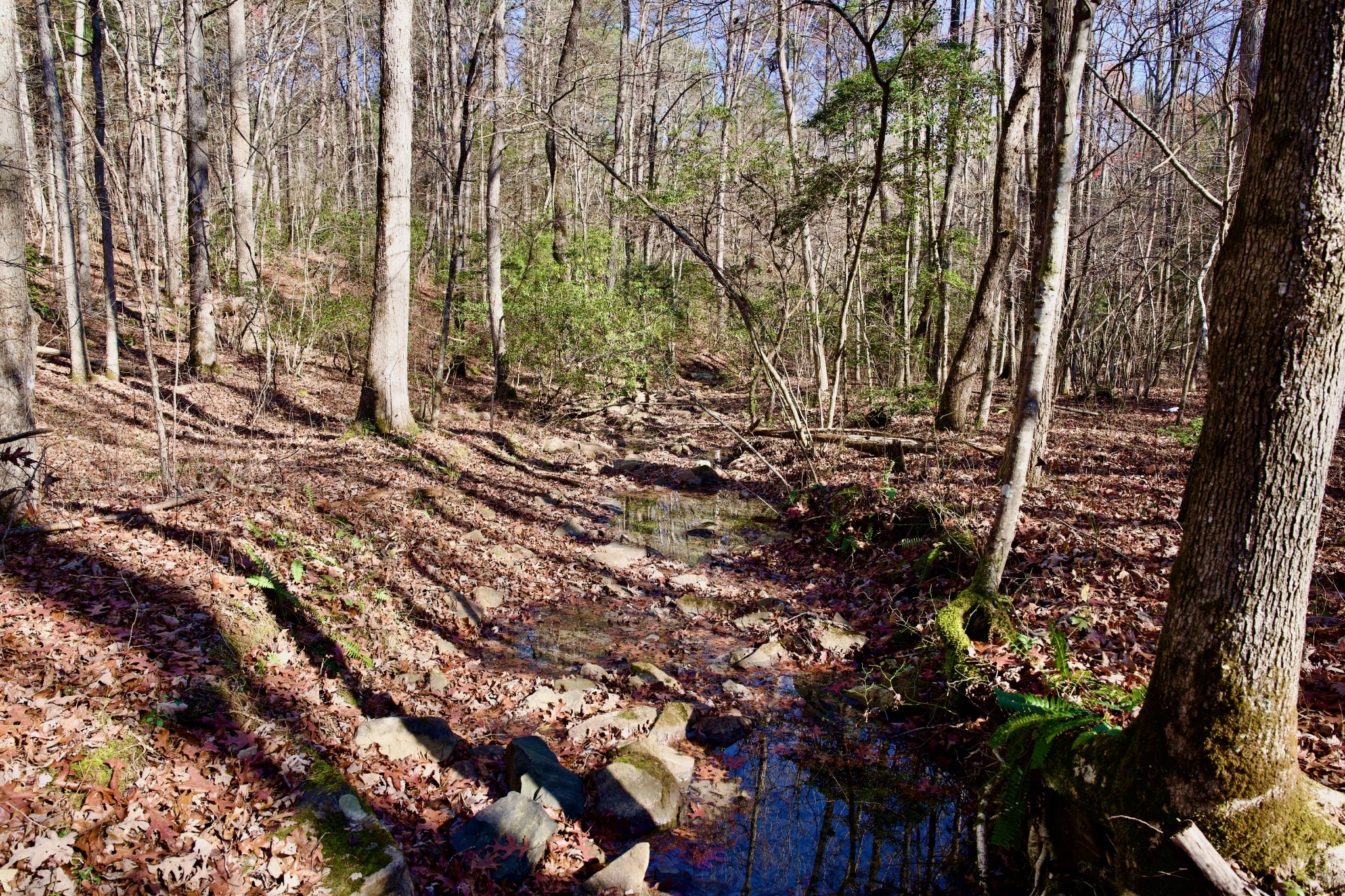 0 Eagle Ridge Road Graysville, TN 37338 - Photo 3 of 55 Gallery Image 3