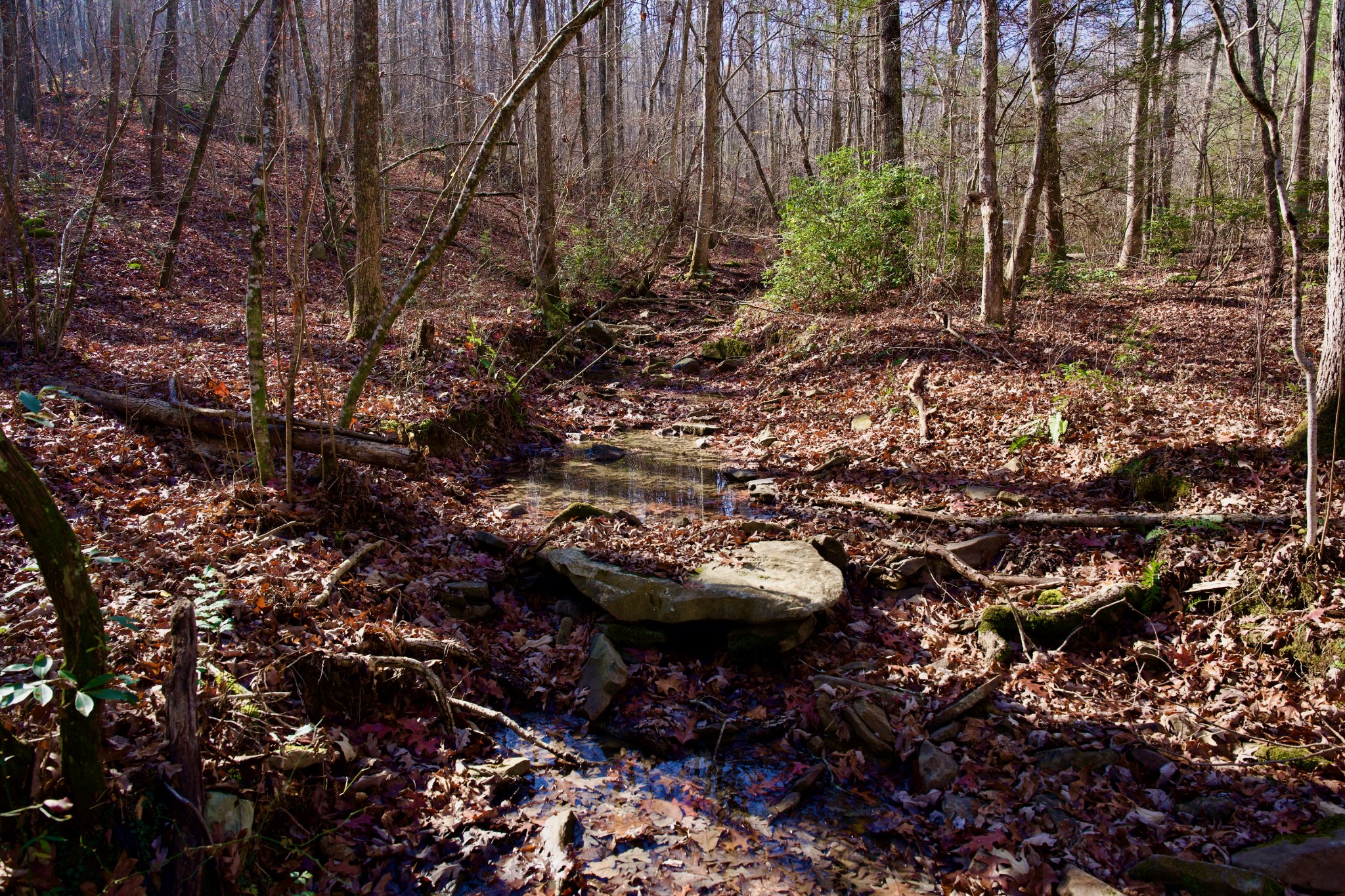 0 Eagle Ridge Road Graysville, TN 37338 - Photo 50 of 55 Gallery Image 50