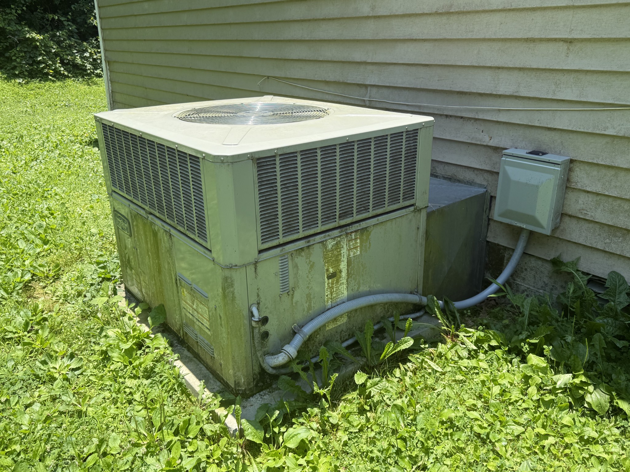 175 Angus Watts Road Pulaski, TN 38478 - Photo 18 of 19