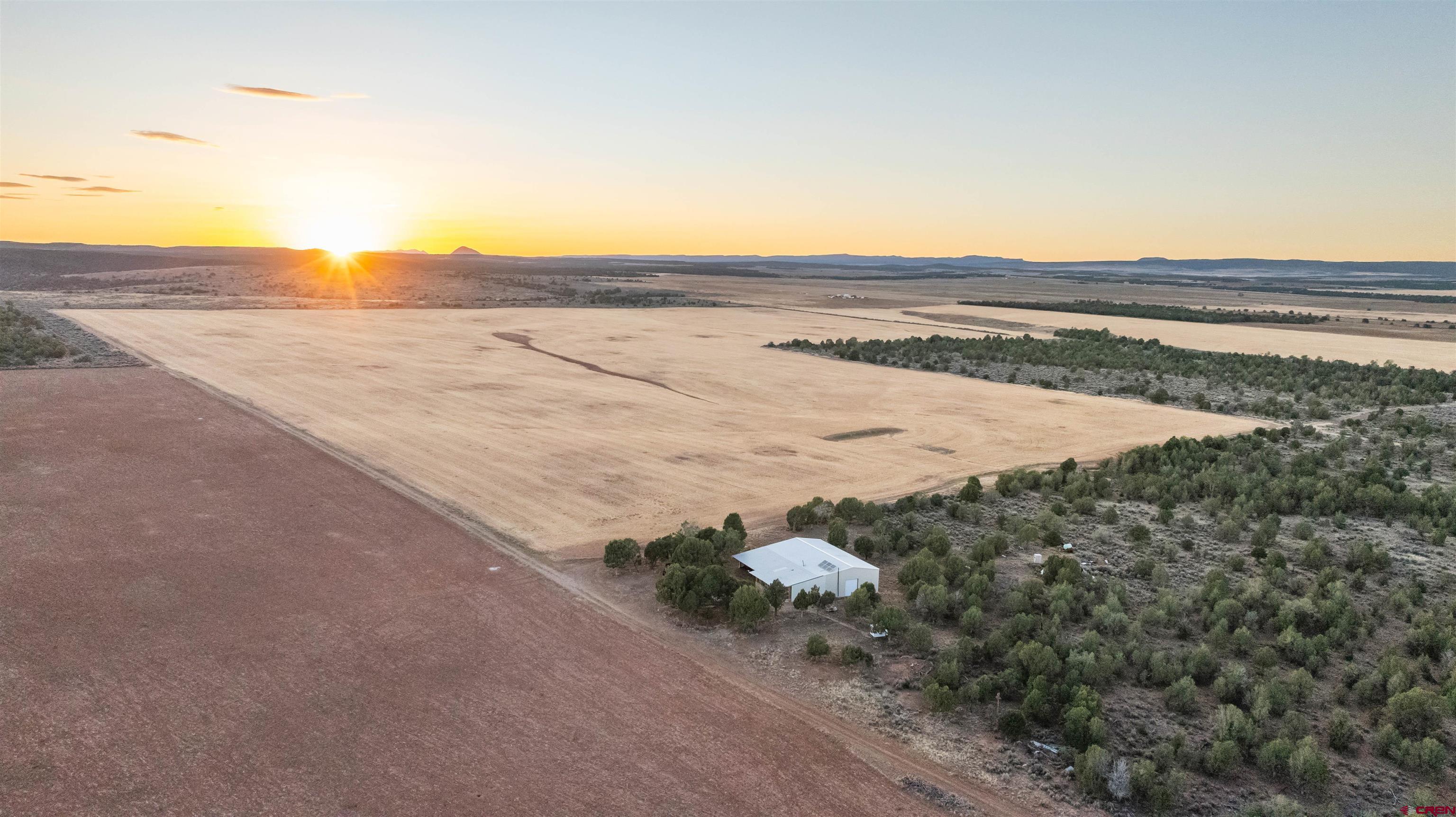 a view of beach and ocean