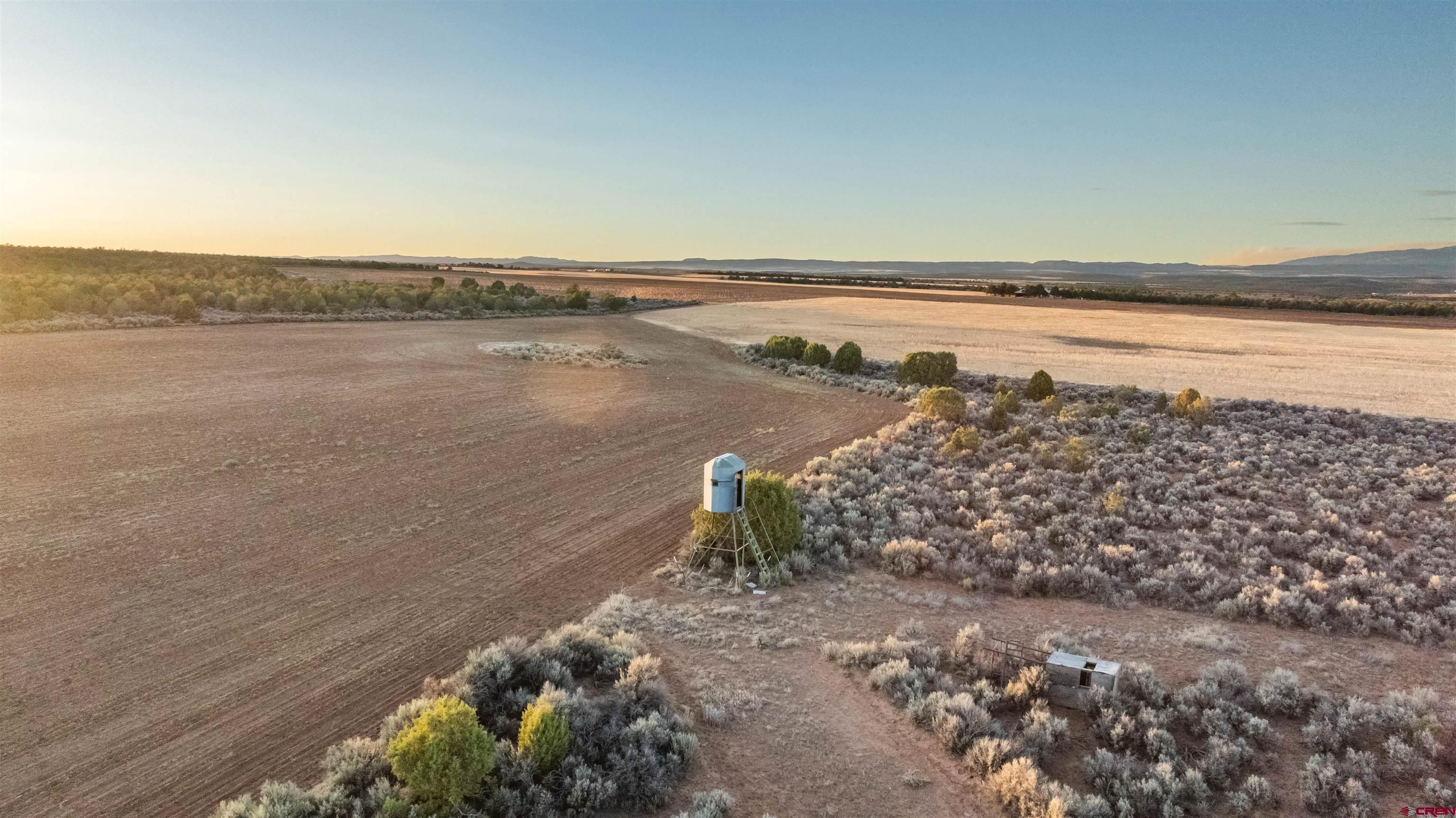 106 County Road 106 Hesperus, CO 81326 - Photo 16 of 44