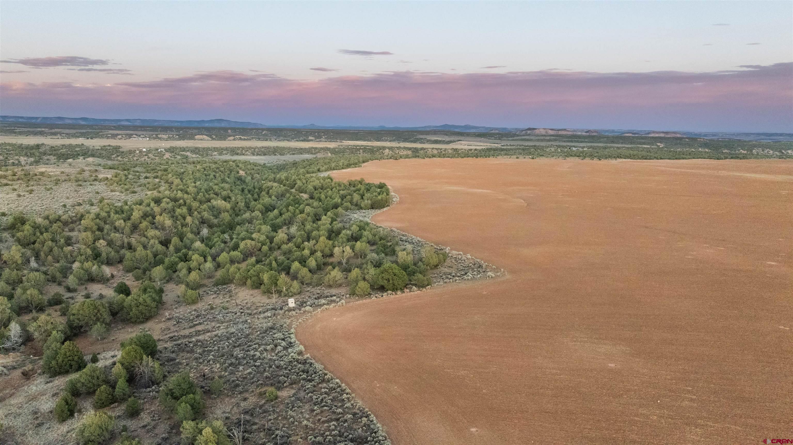 106 County Road 106 Hesperus, CO 81326 - Photo 19 of 44 a view of an outdoor space and mountain view