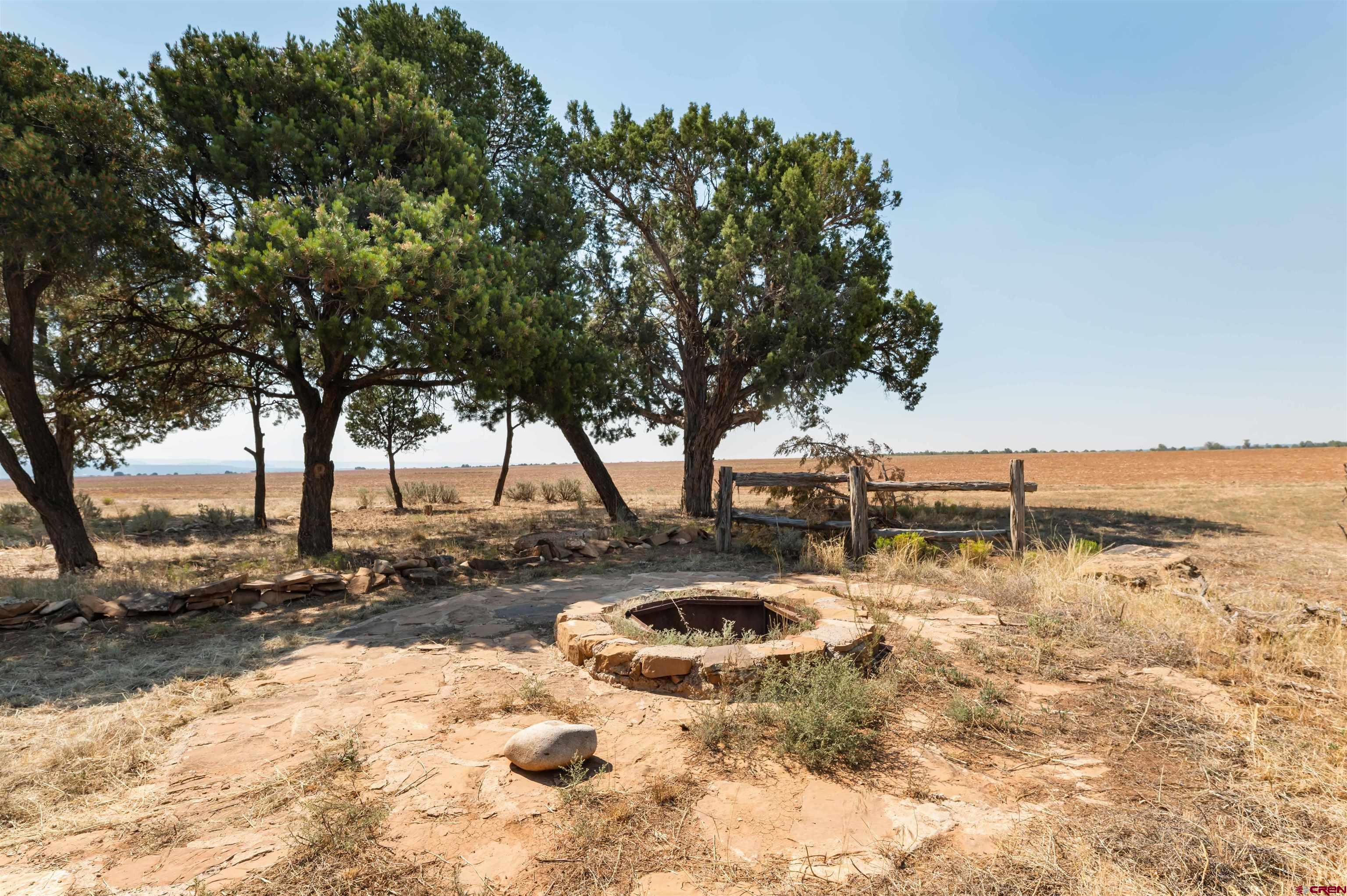 106 County Road 106 Hesperus, CO 81326 - Photo 27 of 44 a view of a yard with trees in the background