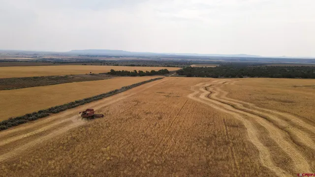 a view of an ocean beach