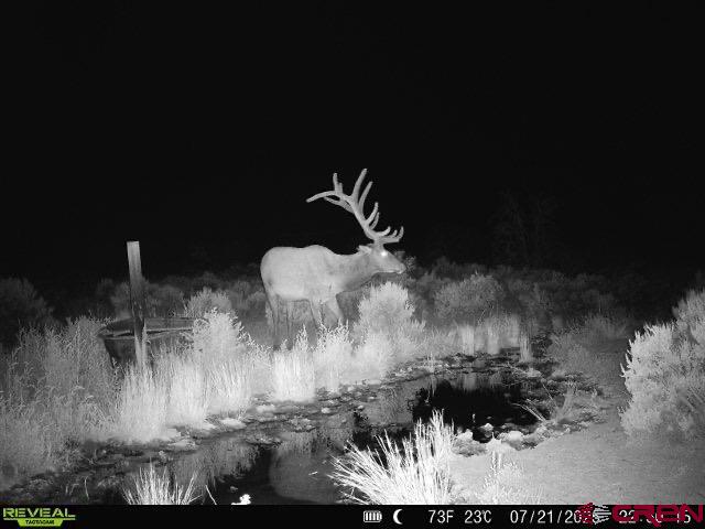 106 County Road 106 Hesperus, CO 81326 - Photo 6 of 44 a view of a fireplace in a room