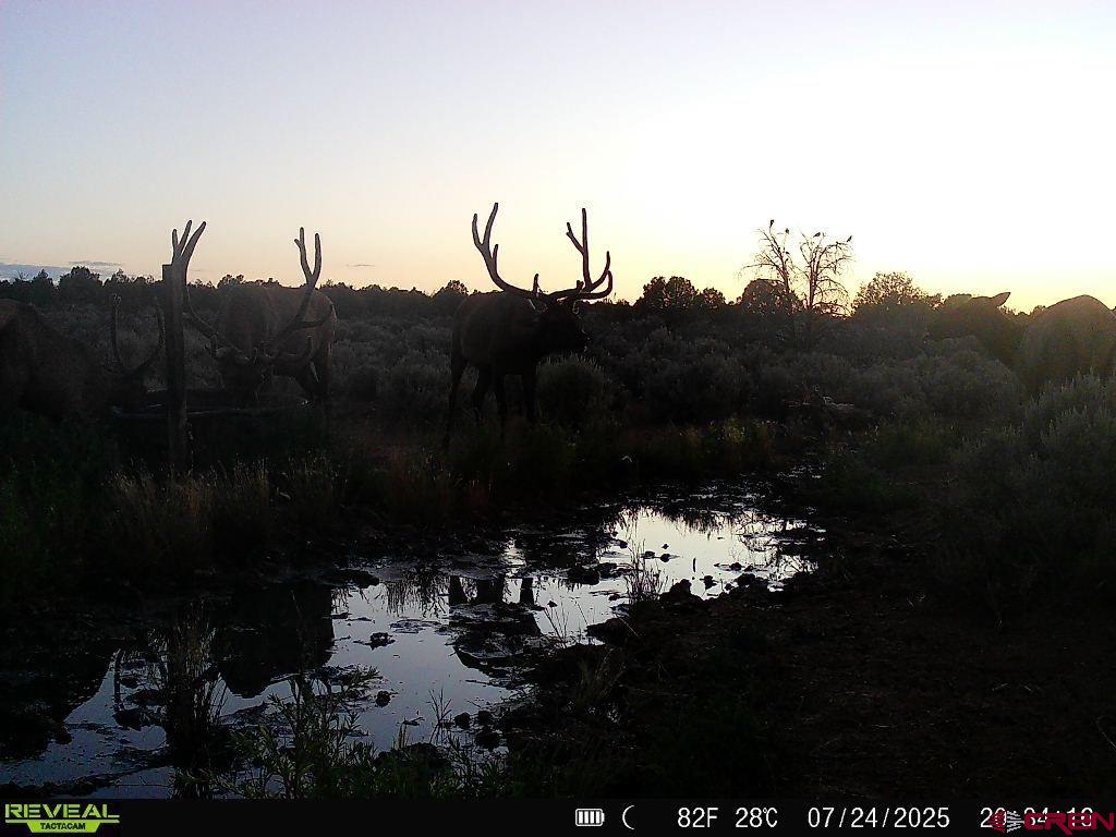 106 County Road 106 Hesperus, CO 81326 - Photo 8 of 44 a view of a lake with a mountain in the background