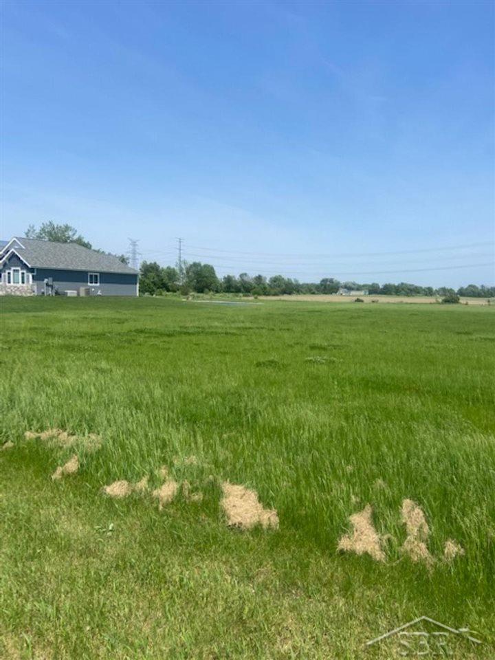 V/l South Reese Road Reese, MI 48757 - Photo 3 of 6 50076239-2.JPG